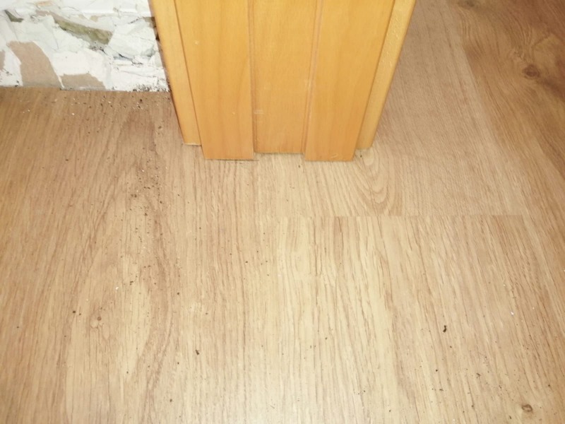 Calvo Decoración y Reformas SL